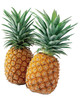 ANANAS V.MARE* - Foto 1 di 1