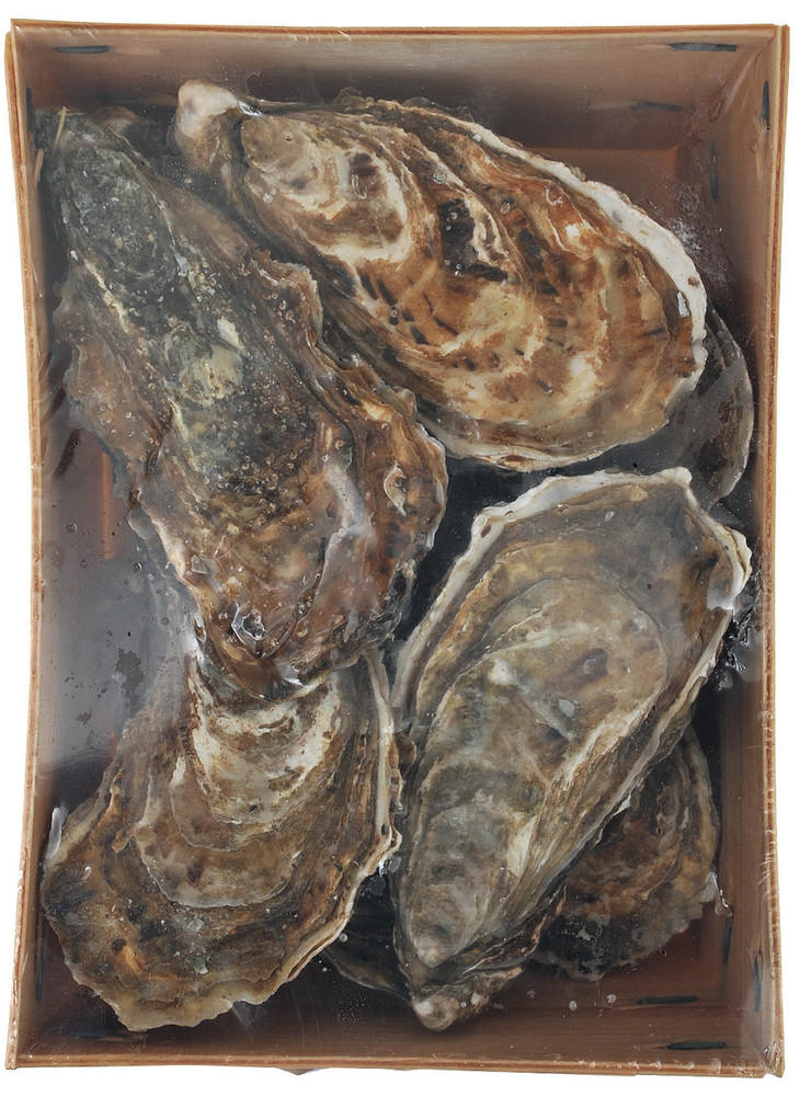 Ostriche Concave Di Bretagna - Foto 1