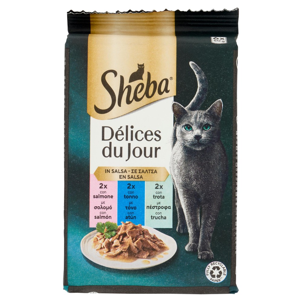 Alimento Per Gatti Delice Du Jour Salmone Tonno Trota 6 Pz - Foto 1