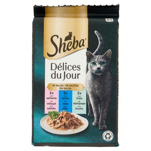 Alimento Per Gatti Delice Du Jour Salmone Tonno Trota 6 Pz - Foto 1