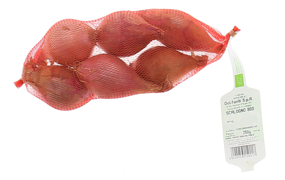 Scalogno Bio - Foto 2