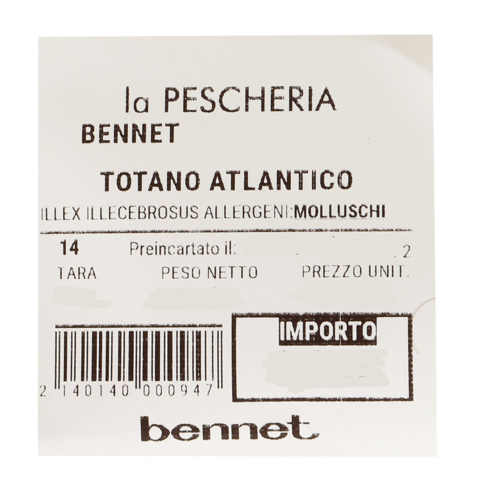 Totano Atlantico - Foto 3