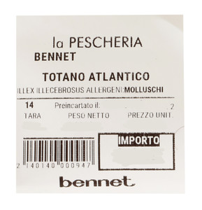 Totano Atlantico - Foto 3
