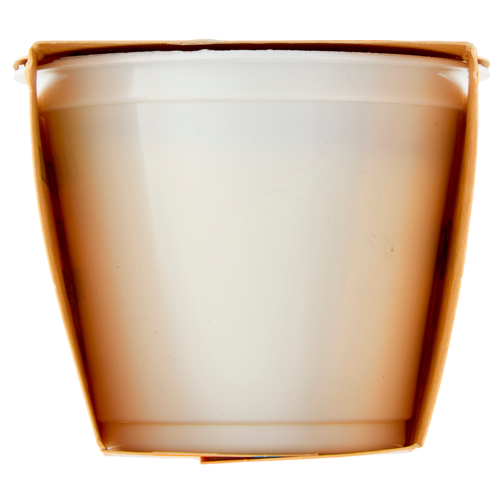 Yogurt Biologico Bianco Intero Scaldasole X2 - Foto 2