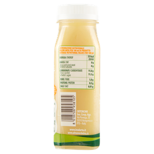 Succo Bio Zenzero Bottiglia - Foto 3