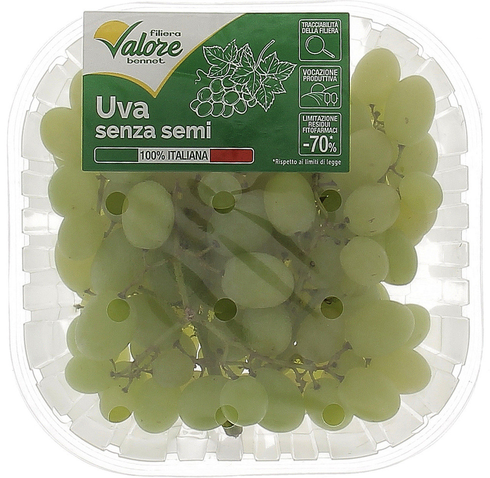 Uva Bianca Senza Semi Filiera Valore Bennet Varieta'ifg Sweet Globe - Foto 1