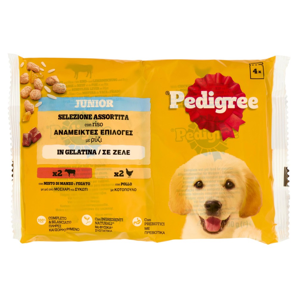 Pedigree Pouch Junior Gelatina 4x100g - Foto 1