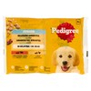 Pedigree Pouch Junior Gelatina 4x100g