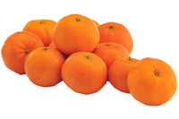 Clementine Fiorone Clementine Fiorone