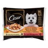 CESAR DEL.GIORNO GELAT