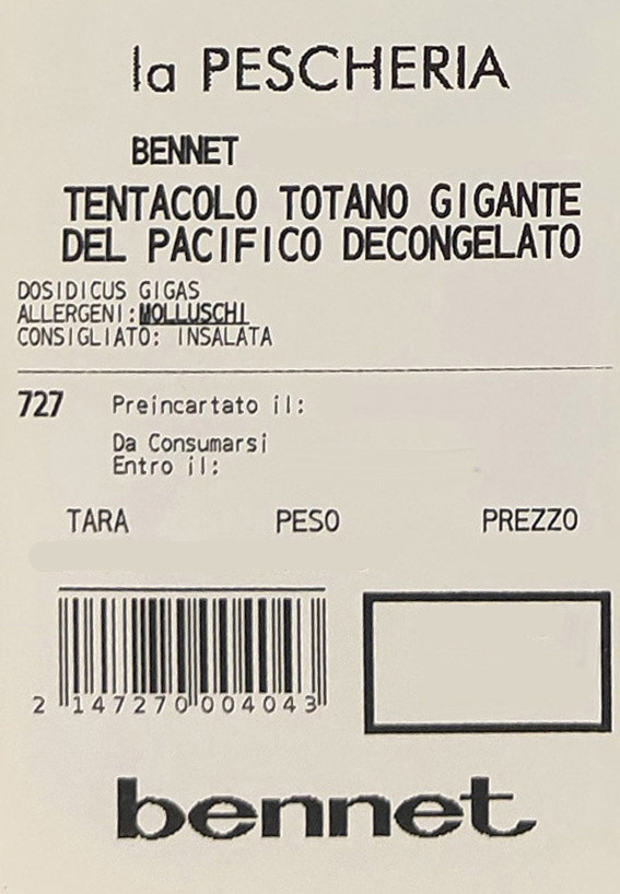 Tentacolo Di Totano Gigante Del Pacifico Decongelato - Foto 3