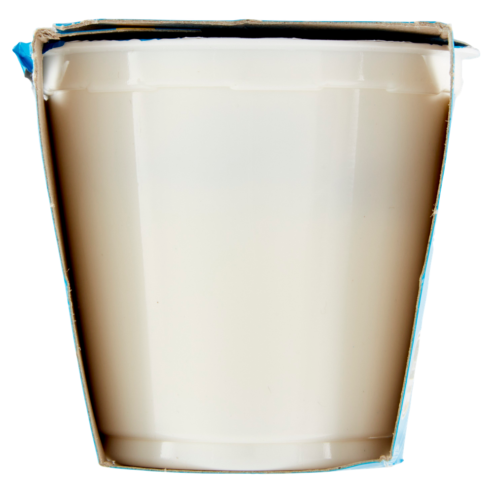 Yogurt Senza Lattosio Vaniglia Bella Vita 2 Da Gr.125 - Foto 2