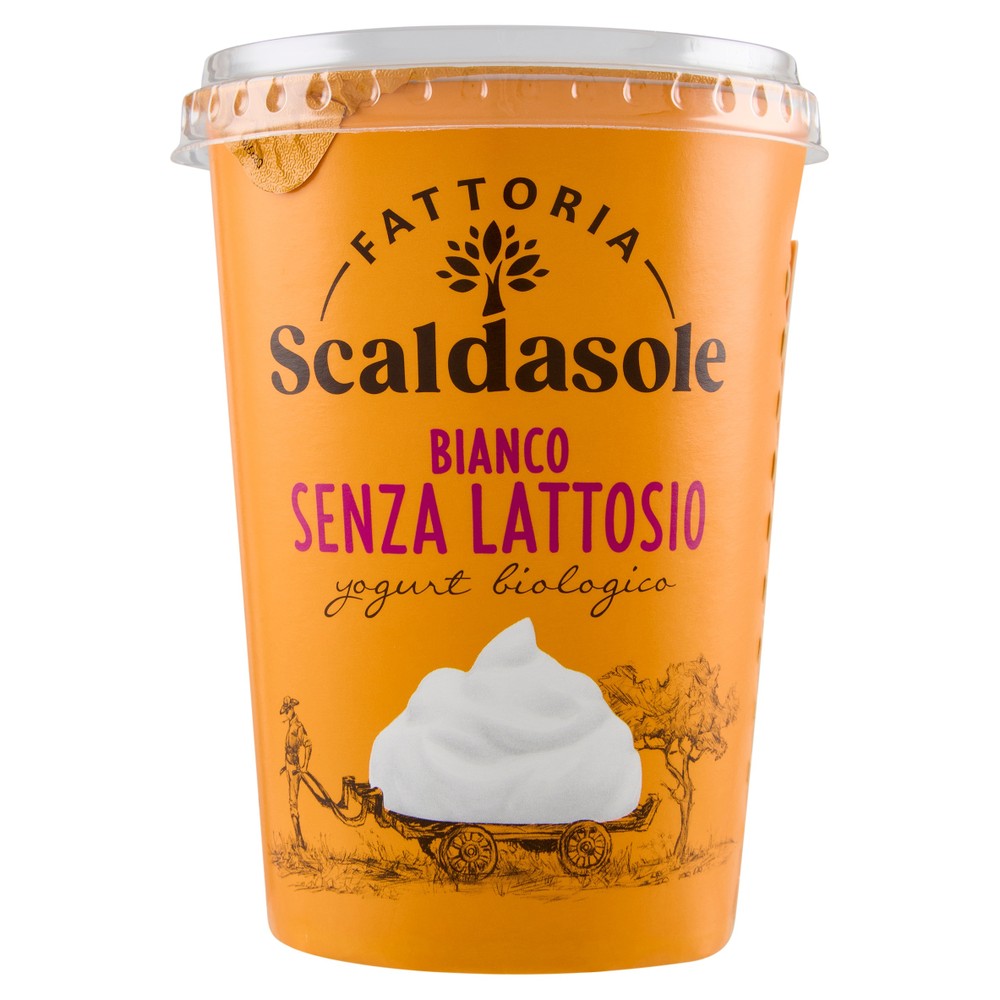 Yogurt Bio Magro Senza Lattosio Scaldasole - Foto 1