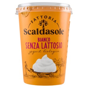 Yogurt Bio Magro Senza Lattosio Scaldasole - Foto 1