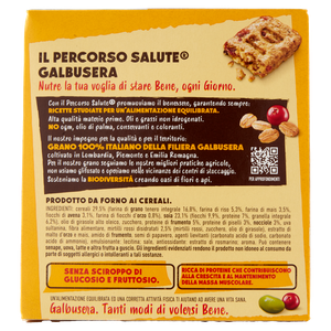 Snack Biscobarretta Con Cereali E Cioccolato Fondente Galbusera - Foto 3
