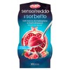 Sorbetto Melograno E Frutti Di Bosco Senso Freddo
