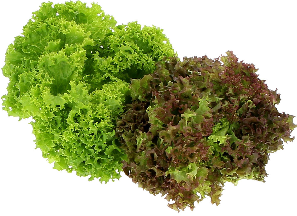 Insalata Riccetto Misto - Foto 1