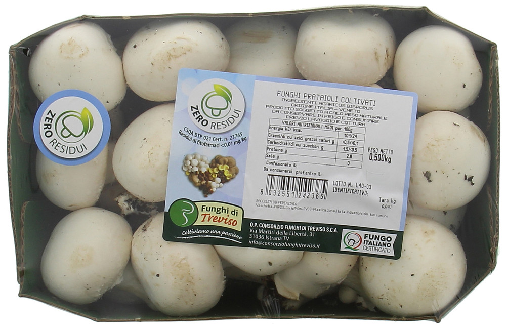 Funghi Champignon Bianchi Residuo Zero In Vassoio - Foto 1