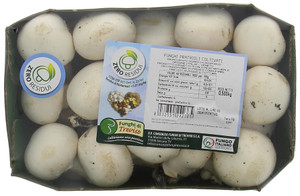 Funghi Champignon Bianchi Residuo Zero In Vassoio - Foto 1