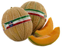 Melone Mantovano Igp