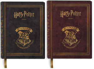 Diario Harry Potter - Foto 1