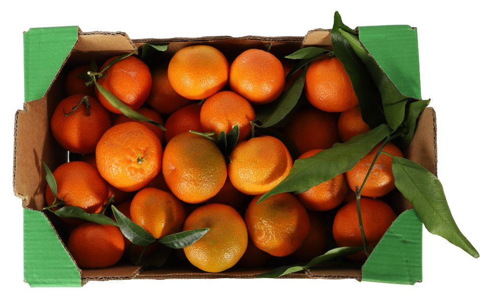 Clementine In Bauletto - Foto 1