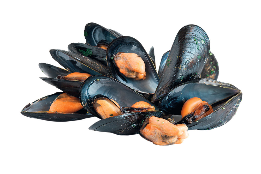 Cozze - Foto 2