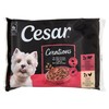 Cibo Umido Per Cani Delizie Del Giorno Gelatina Conf. Da 4 Cesar