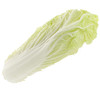 Insalata Cicoria Cinese