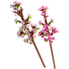Fiori Di Ciliegio Lego Creator