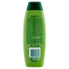 Shampoo Palmolive Silky Capelli Normali