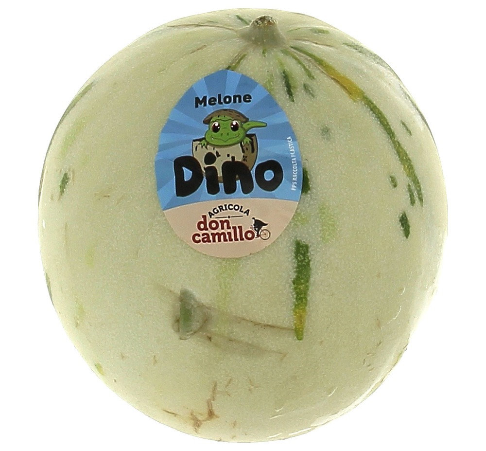 Melone Liscio Dino - Foto 1