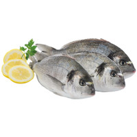 Orata (croazia)