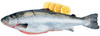 71 SALMONE(1/3)KG.20 - Foto 1 di 1