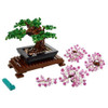 ALBERO BONSAI - Foto 2 di 2