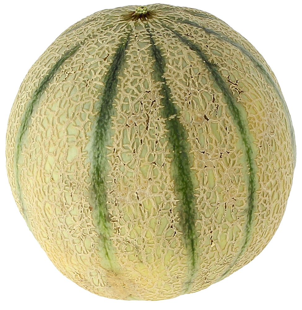 Melone Retato - Foto 1