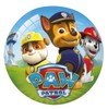 Pallone 23cm Paw Patrol Modelli Assortiti