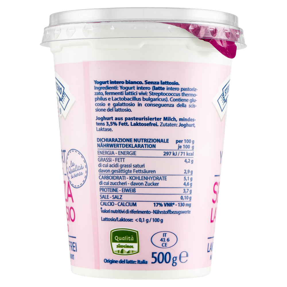 Yogurt Vipiteno Intero Bianco Senza Lattosio - Foto 2
