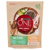 ONE MY DOG IS ACTIVE - Foto 1 di 3