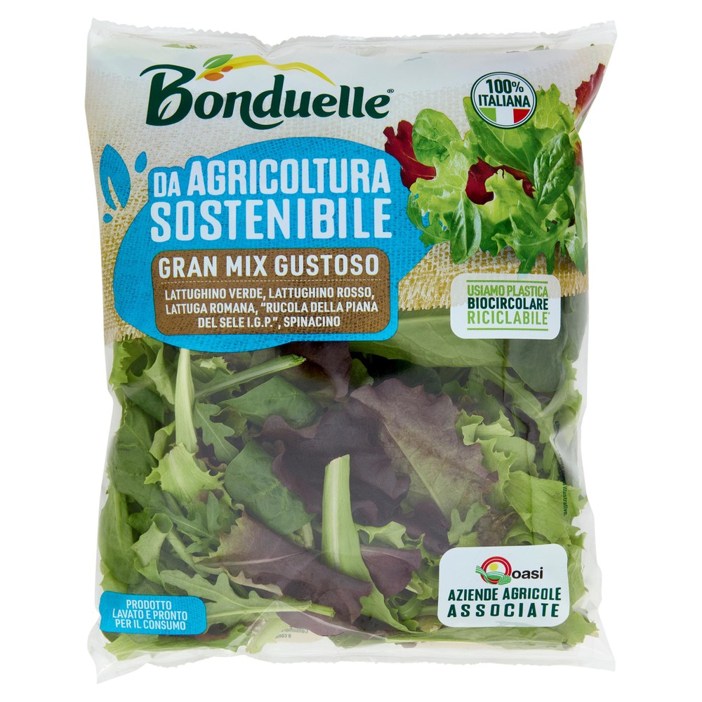 Insalata Gran Mix Gustoso Bonduelle - Foto 1