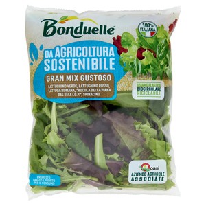 Insalata Gran Mix Gustoso Bonduelle - Foto 1