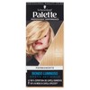 PALETTE 8-11 BDO SABB.