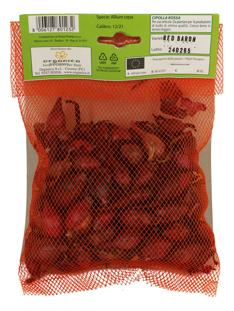 100 Bulbi Cipolla Rossa - Foto 3