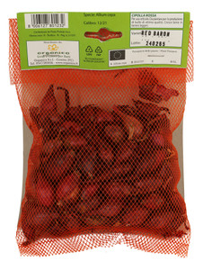 100 Bulbi Cipolla Rossa - Foto 3