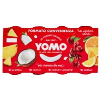 Yogurt Yomo Alla Frutta Ananas , ciliegie , mirtilli E Agrumi Sicilia Yogurt Yomo Alla Frutta Ananas , ciliegie , mirtilli E Agrumi Sicilia