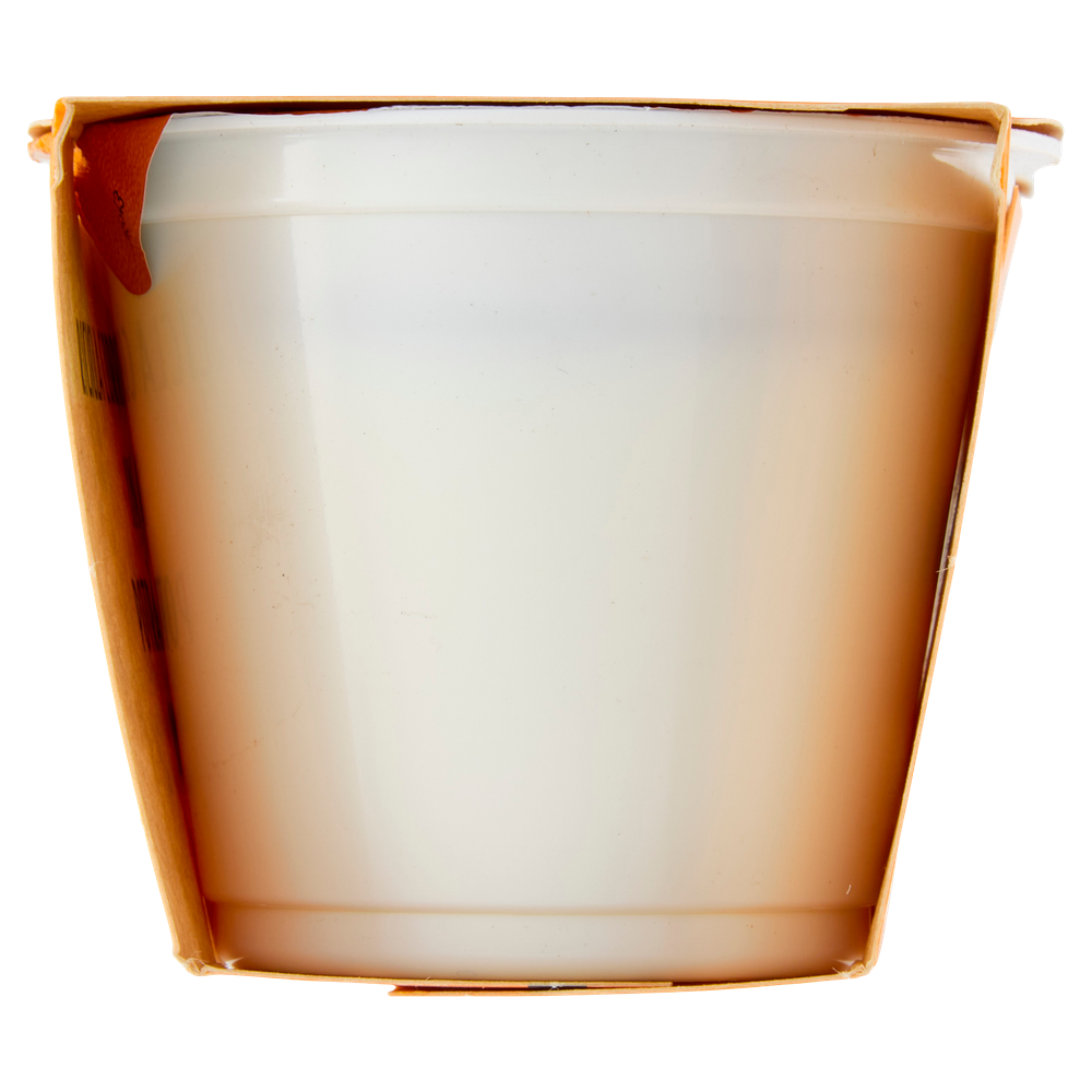 Yogurt Biologico Bianco Magro Scaldasole X2 - Foto 2