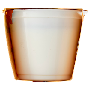 Yogurt Biologico Bianco Magro Scaldasole X2 - Foto 2