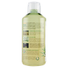 EQU.ALOE V./ZENZ.SUCCO - Foto 2 di 3