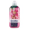 COCCO AMM.CONC.TIARE50