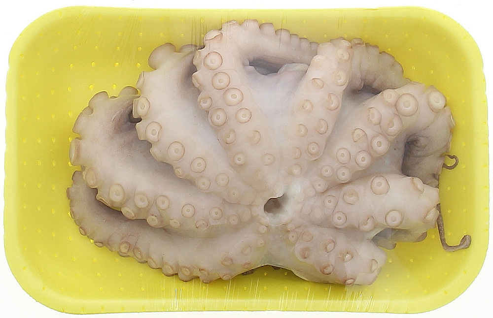 Polpo Arricciato - Foto 2